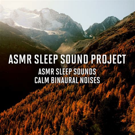 Stream ASMR Sleep Sounds by ASMR Sleep Sound Project | Listen online for free on SoundCloud