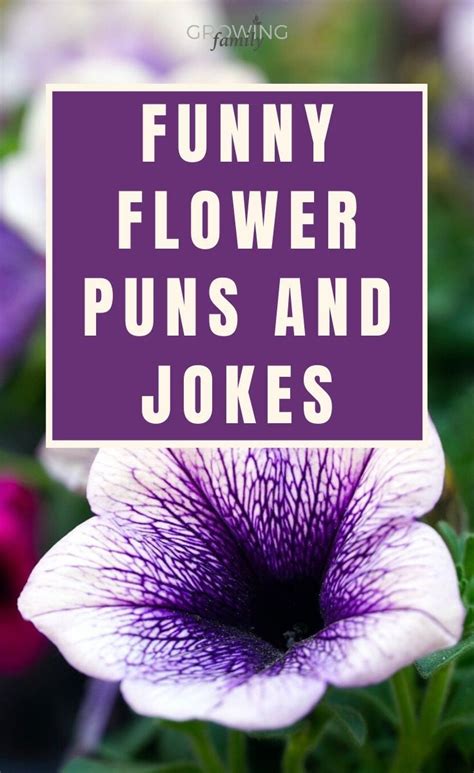 115 best flower puns and flower jokes to make your daisy - Growing ...