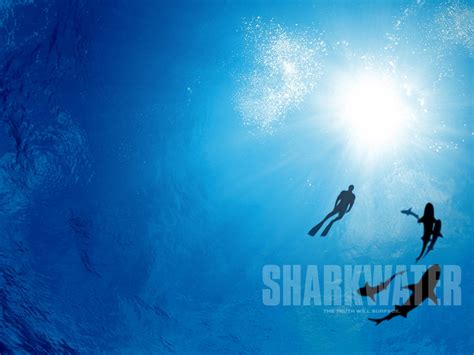 Sharkwater Movie Review - Pacific Yachting