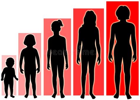 Life Stages Growth Chart Stock Illustrations – 104 Life Stages Growth ...