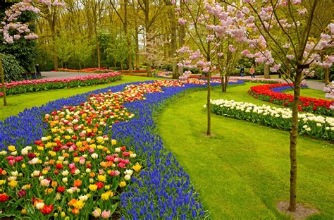 Gardening - Landscaping, Planting, Design | Britannica