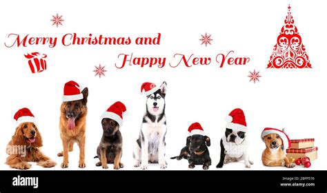 Funny christmas dogs. Merry Christmas and Happy News Year Stock Photo ...