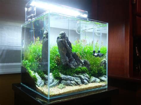 Seiryu Stone Aquascape Ideas - Aquascape Ideas