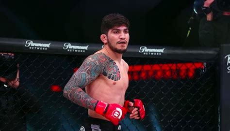 BREAKING | Dillon Danis returns at Bellator 221 | BJPenn.com