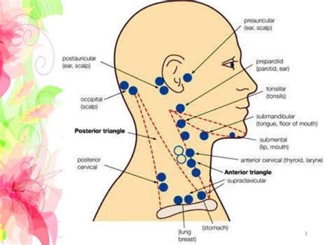 Cervical Lymphadenopathy