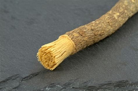 Miswak: Natural Ancient Toothbrush