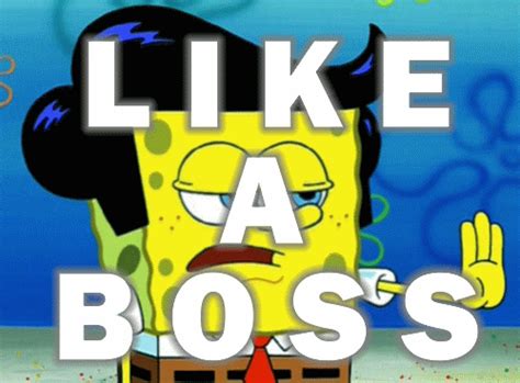 [Image - 175572] | Like A Boss | Know Your Meme