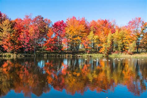 12 States (NOT In New England) With Unique Places To See Colorful Fall Foliage And Incredible ...