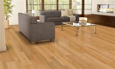 Oak, Birch and Maple: Excellence of Hardwood Flooring - Hardwood ...