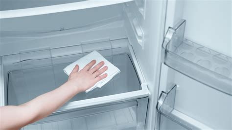 What to Check When Your Refrigerator Drip Pan is Full - Appliance Repair Specialists