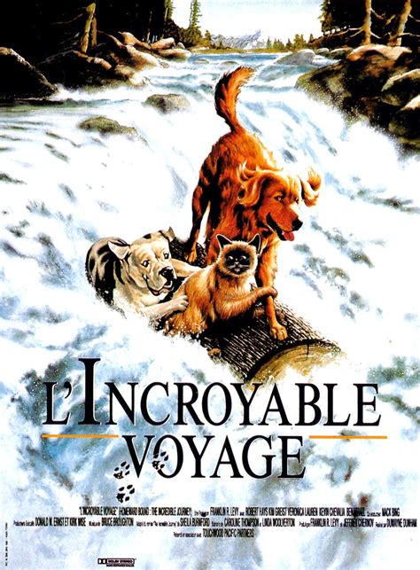 L'Incroyable Voyage - Film (1993) - SensCritique