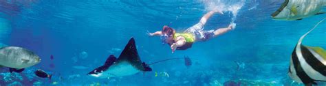 Snorkeling in Costa Rica, Snorkeling Tips and Tricks, and Where to go?