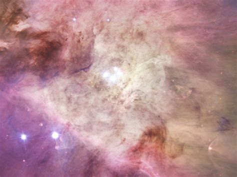 Orion Nebula's Biggest Stars Free Stock Photo - Public Domain Pictures