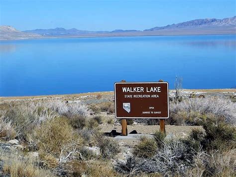 Recent rain and snow storms beneficial to Walker Lake inflows | Mineral ...