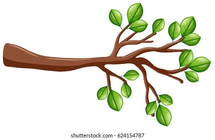 Tree Branch Clip Art Royalty-Free Images, Stock Photos & Pictures | Shutterstock