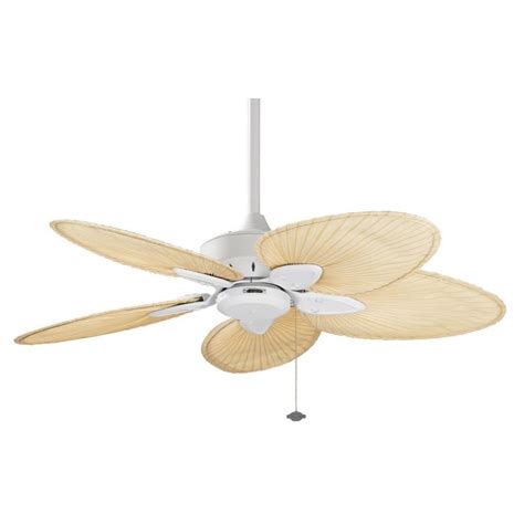 Fanimation Windpointe 44-in Indoor Downrod Ceiling Fan (5-Blade) at ...