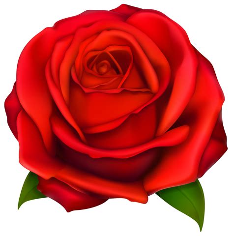 Image of clip art red rose 2 red roses clip art images free | Rosa | Pinterest | Clip art images ...