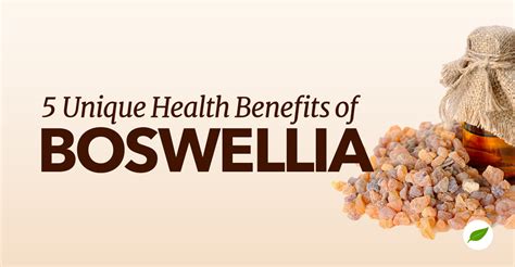 5 Unique Boswellia Health Benefits You Should Know