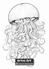 Jellyfish Coloring Page  Worksheets Library sketch template