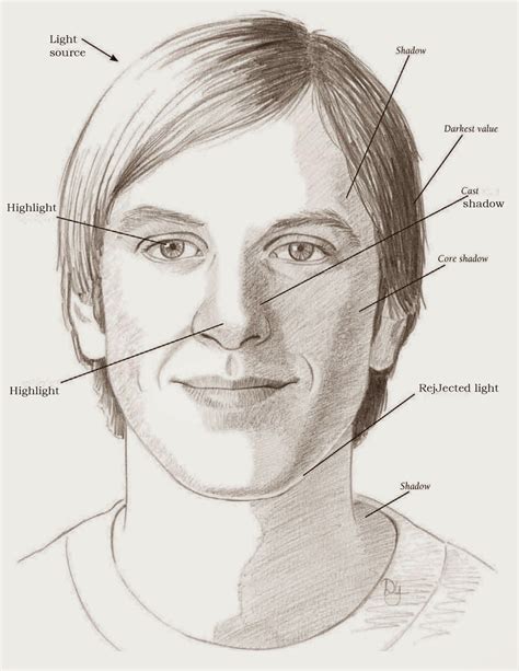 Drawings: LEARNING THE PLANES OF THE FACE | Planes of the face, Face drawing, Shadow drawing
