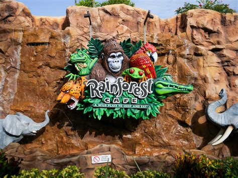 Rainforest Cafe Now Reopened at Disney Springs with Limited Menu - WDW ...