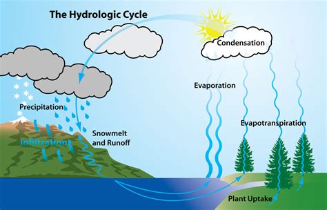 The hydrological Cycle - notesychs