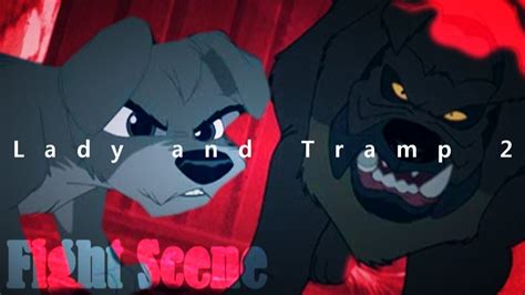 Lady And The Tramp Stray Dogs Fight