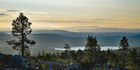 MAKING THE MOST OUT OF THE NORDIC SUMMER | Gravel Unionen