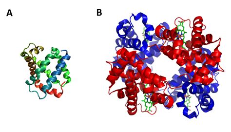 Chapter 2: Protein Structure – Chemistry