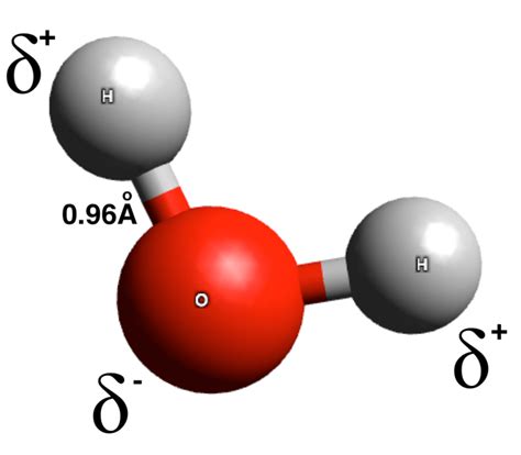 Difference Between Polar and Dipolar Molecules | Compare the Difference Between Similar Terms