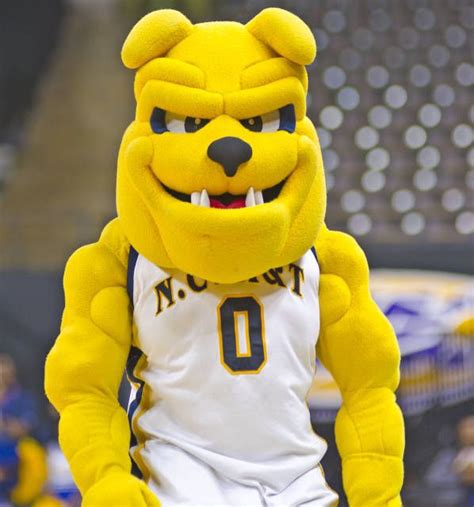 North Carolina A&T Aggies | Aggies mascot, Mascot, Chicago photography