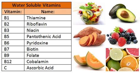 Water Soluble Vitamins- B-Complex and C