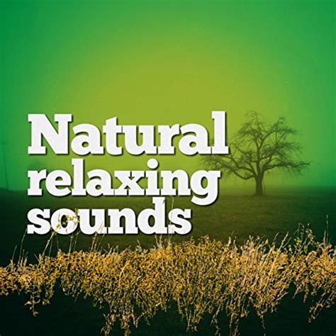 Natural Relaxing Sounds by Best Nature Sounds for Relaxing, Relaxing Nature Sounds & The Healing ...