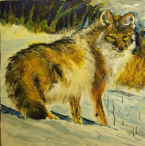 Coyote Painting by Siona Koubek - Fine Art America