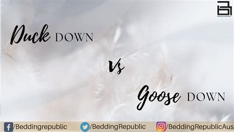 Duck Down Vs Goose Down - Bedding Republic