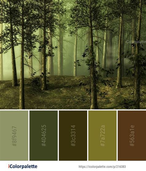 Color Palette Ideas from Ecosystem Forest Woodland Image ...