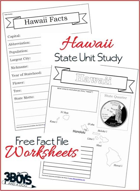 Hawaii State Fact File Worksheets