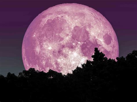 April’s ‘Super Pink Moon’ Marks the Arrival of Spring, May Be Brightest ...