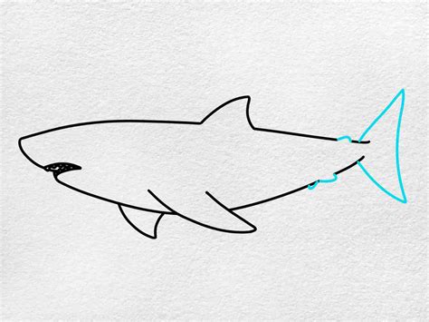 Easy Shark Drawing - HelloArtsy