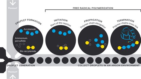 Polyacrylamide Synthesis | Dolomite Microfluidics