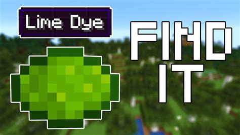 How to Find Lime Dye in Minecraft (All Versions) - YouTube