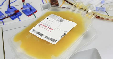 What Is Blood Plasma Used For and Blood Plasma Donation