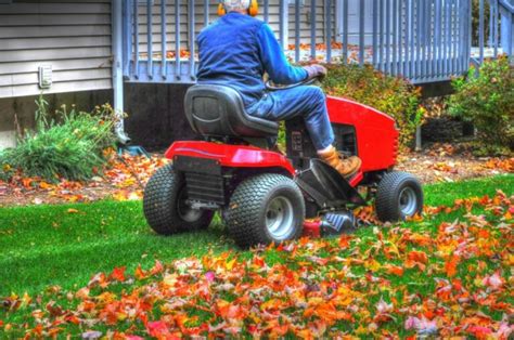 Mulching with a Lawn Mower: Your Easy Guide – Garden Tool Expert Store