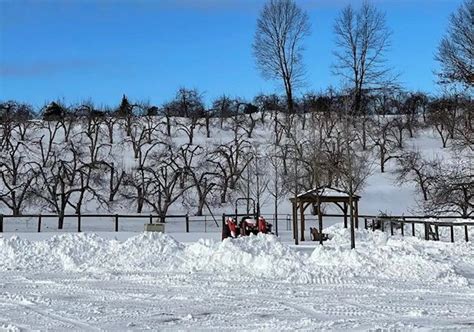 Harvest Moon Farm and Orchard