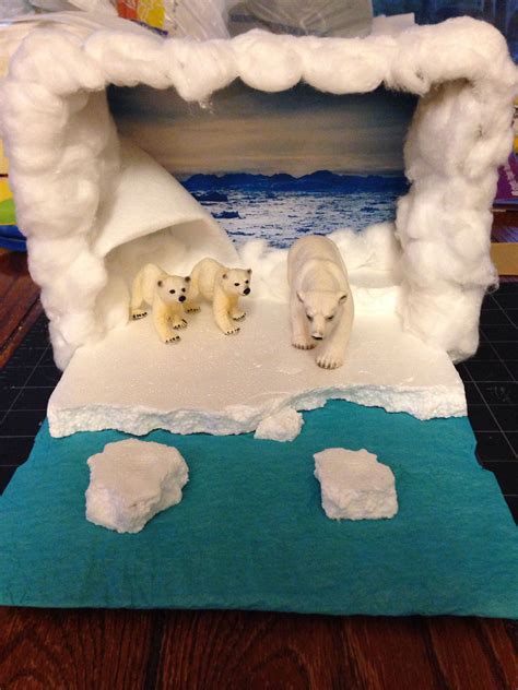 Reed's Polar Bear Diorama! School Crafts, School Projects, Craft Projects, Project Ideas ...