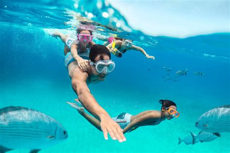 Nassau Vs Cococay: Which Is Better For Snorkeling? – DesertDivers