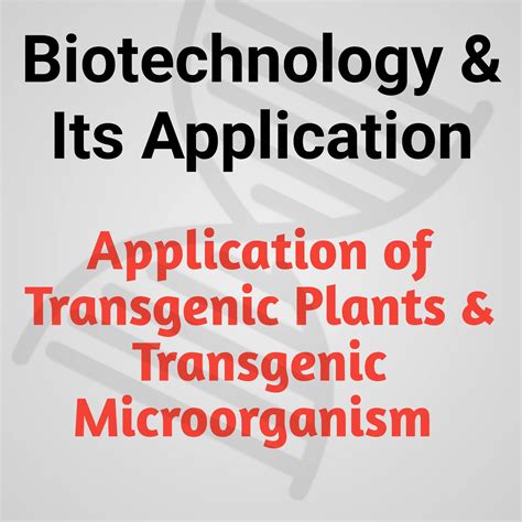 Application of Transgenic Plants | Transgenic Microorganism