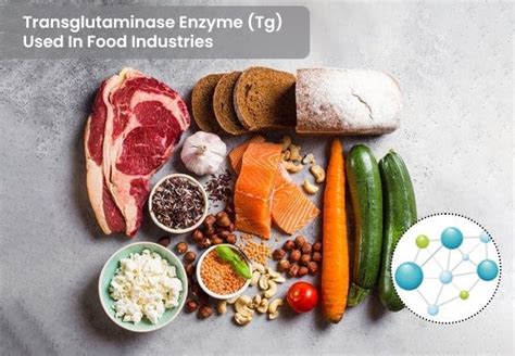 Transglutaminase Enzyme Used (Tg) In Food Industries — Ultreze Enzymes ...