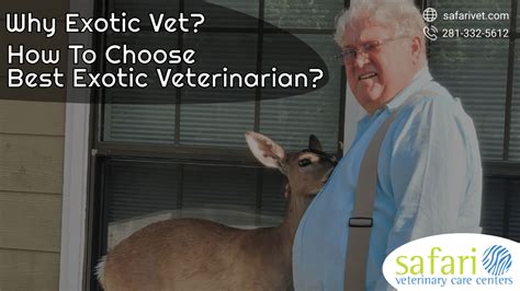 Why Exotic Vet? How To Choose Best Exotic Veterinarian? | by Safari ...