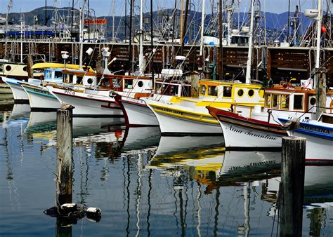 Boats in the Dock in San Francisco, California image - Free stock photo ...